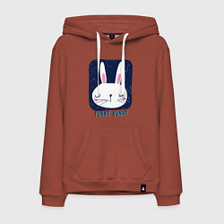 Толстовка-худи хлопковая мужская Funny - Bunny, цвет: кирпичный
