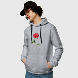 Толстовка-худи хлопковая мужская Роза красная, цвет: меланж — фото 2