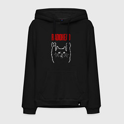 Толстовка-худи хлопковая мужская Radiohead рок кот, цвет: черный