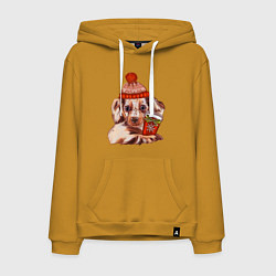 Толстовка-худи хлопковая мужская Щенок в зимней шапке и с кофе, цвет: горчичный