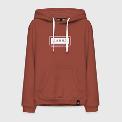 Толстовка-худи хлопковая мужская Имя Давид: ограниченная серия, цвет: кирпичный