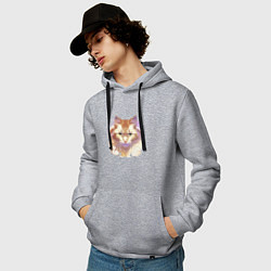 Толстовка-худи хлопковая мужская Теплый кот, цвет: меланж — фото 2
