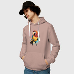 Толстовка-худи хлопковая мужская Акварельный попугай, цвет: пыльно-розовый — фото 2