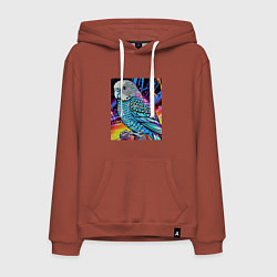 Толстовка-худи хлопковая мужская Волнистый синий попугай, цвет: кирпичный