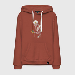 Толстовка-худи хлопковая мужская Skeletor music, цвет: кирпичный