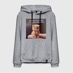 Толстовка-худи хлопковая мужская Рыжий котик: будь причиной веры в людей, цвет: меланж