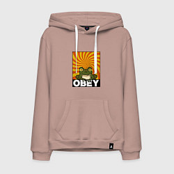 Толстовка-худи хлопковая мужская Гипножаба по мотивам Футурама на оранжевом фоне, цвет: пыльно-розовый