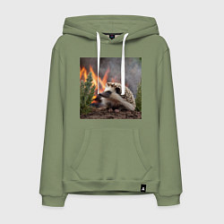 Толстовка-худи хлопковая мужская Ёжик в огне, цвет: авокадо