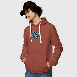 Толстовка-худи хлопковая мужская Suzuki GSX-R, цвет: кирпичный — фото 2