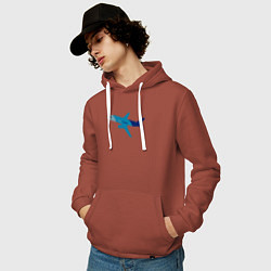 Толстовка-худи хлопковая мужская Superjet-100 синий, цвет: кирпичный — фото 2