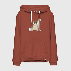 Толстовка-худи хлопковая мужская Енот убирается, цвет: кирпичный