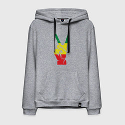 Толстовка-худи хлопковая мужская Jamaica peace, цвет: меланж