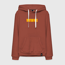 Толстовка-худи хлопковая мужская Twenty one pilots - color logo, цвет: кирпичный