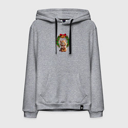Толстовка-худи хлопковая мужская Новогодний котик с рождественским венком, цвет: меланж