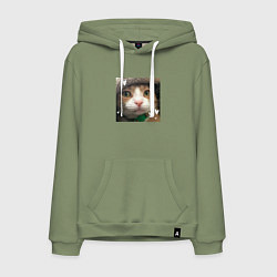 Толстовка-худи хлопковая мужская Рыжий кот - с сердечками, цвет: авокадо