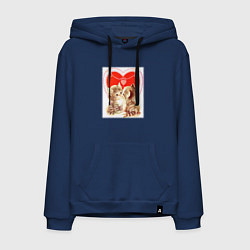 Толстовка-худи хлопковая мужская Кошачий поцелуй, цвет: тёмно-синий