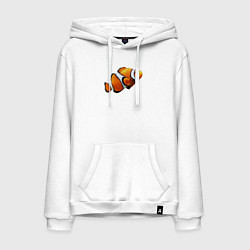 Толстовка-худи хлопковая мужская Рыбка попугай, цвет: белый