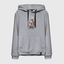 Толстовка-худи хлопковая мужская Меняйтесь сами, цвет: меланж