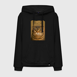 Толстовка-худи хлопковая мужская Yo - Im Scottish Fold, цвет: черный