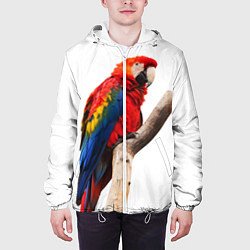 Куртка с капюшоном мужская Яркий попугай, цвет: 3D-белый — фото 2