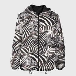Куртка с капюшоном мужская Стая зебр, цвет: 3D-черный