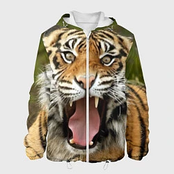 Куртка с капюшоном мужская Удивленный тигр, цвет: 3D-белый