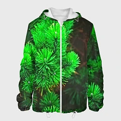 Куртка с капюшоном мужская Зелёная ель, цвет: 3D-белый