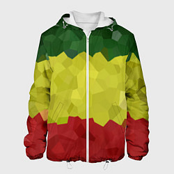Куртка с капюшоном мужская Эфиопия, цвет: 3D-белый