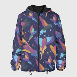 Куртка с капюшоном мужская Райские попугаи, цвет: 3D-черный