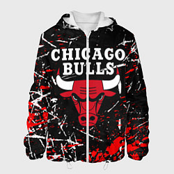 Мужская куртка CHICAGO BULLS