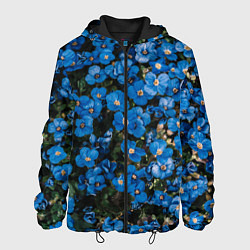 Куртка с капюшоном мужская Поле синих цветов фиалки лето, цвет: 3D-черный