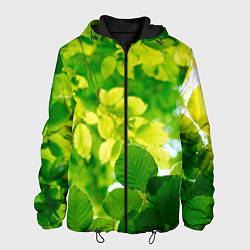 Куртка с капюшоном мужская Листья, цвет: 3D-черный
