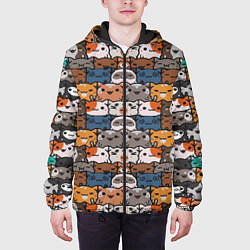 Куртка с капюшоном мужская Котейки, цвет: 3D-черный — фото 2