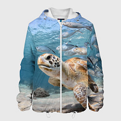 Мужская куртка Морская черепаха