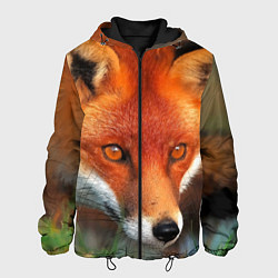 Куртка с капюшоном мужская Лисица охотница, цвет: 3D-черный