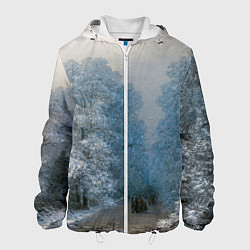 Куртка с капюшоном мужская Зимний пейзаж картина маслом, цвет: 3D-белый