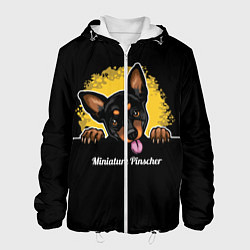 Мужская куртка Пинчер Miniature Pinscher