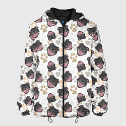 Куртка с капюшоном мужская Стаффордширский Бультерьер Bull-Terrier, цвет: 3D-черный
