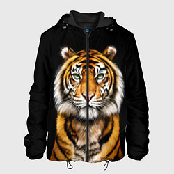 Куртка с капюшоном мужская Пушистый Тигр Во Тьме Символ 2022 года, цвет: 3D-черный