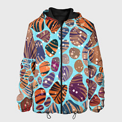 Мужская куртка Разноцветные камушки, цветной песок, пальмовые лис