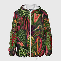 Куртка с капюшоном мужская Красные Тропики, цвет: 3D-белый