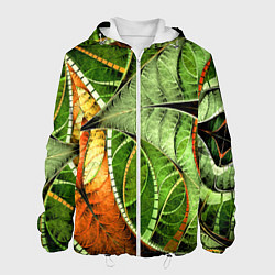 Куртка с капюшоном мужская Растительный абстрактный фрактальный паттерн Veget, цвет: 3D-белый