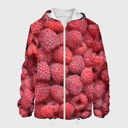 Куртка с капюшоном мужская Малина - ягоды, цвет: 3D-белый