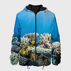 Куртка с капюшоном мужская Кораллы в тропических водах индийского океана, цвет: 3D-черный