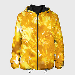Куртка с капюшоном мужская Золотые листья на ветках, цвет: 3D-черный