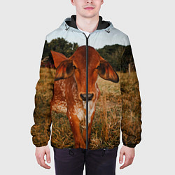 Куртка с капюшоном мужская Коровка на поле, цвет: 3D-черный — фото 2