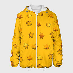 Куртка с капюшоном мужская Цвета осени: листья клена, цвет: 3D-белый