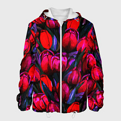 Куртка с капюшоном мужская Тюльпаны - поле красных цветов, цвет: 3D-белый