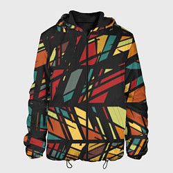 Мужская куртка Абстракция в разноцветных линиях