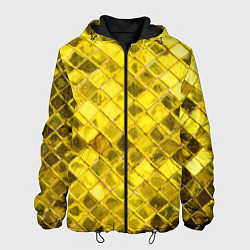 Куртка с капюшоном мужская Золотые ромбы, цвет: 3D-черный